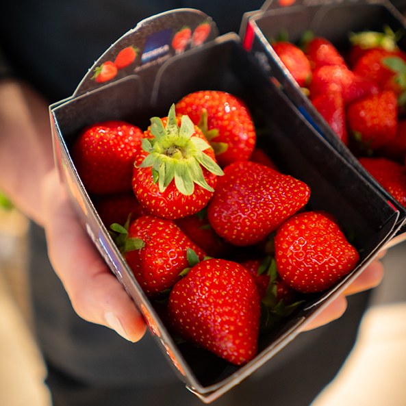 Erdbeeren aus dem E center Warnow Park.