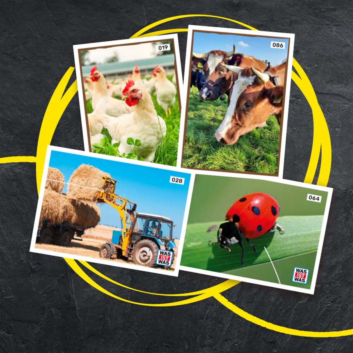 Er(k)lebe die Landwirtschaft Stickeraktion im E center Warnow Park.