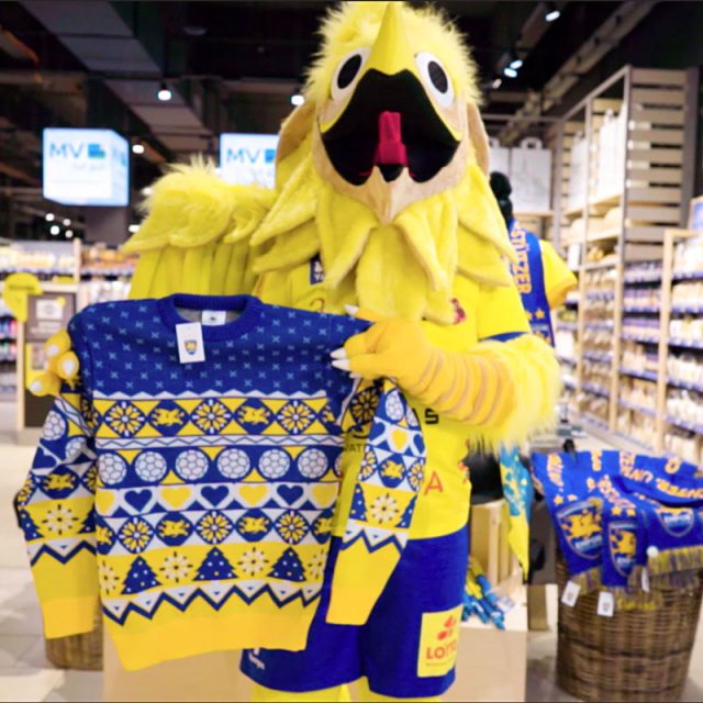 EDEKA Warnow Park HC Empor Fanshop